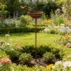 Rust Bird Water Bowl Stake