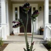 3-Headed Metal Venus Flytrap Garden Stake, Rust Finish Halloween Carnivorous Plant Yard Art for Outdoor Lawn Decor