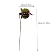 a5 Hand Painted Metal Man-Eating Flower Garden Stake, Funny Carnivorous Plant Yard Art Ornament for Outdoor Lawn Halloween Garden Decor