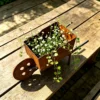 Rustic Wheelbarrow Planter for Garden and Patio Decor