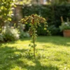 umbrella-vine-trellis-05 Rustic Umbrella Vine Trellis for Garden Climbing Plants